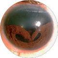 Reviewer Image