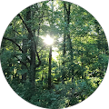 Reviewer Image